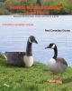 VEVOR Canada Goose Decoys, Outdoors Goose Decoy for Waterfowl Hunting, Durable Plastic Floaters with Ultra Realistic Paint, for Pool, Pond, Lake