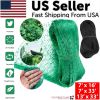 33FT Anti Bird Netting Pond Net Protection Tree Crops Plants Fruits Garden Mesh
